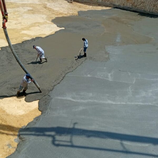 WhatsApp Image 2025 06 24 at 2 25 12 PM